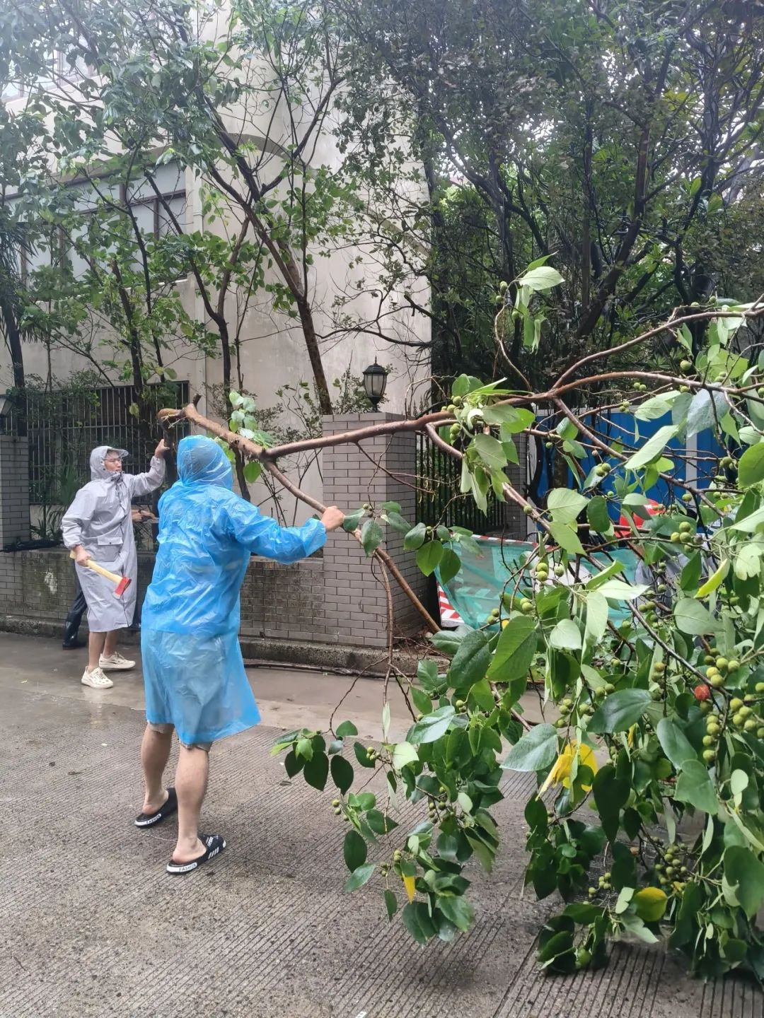图片6.png