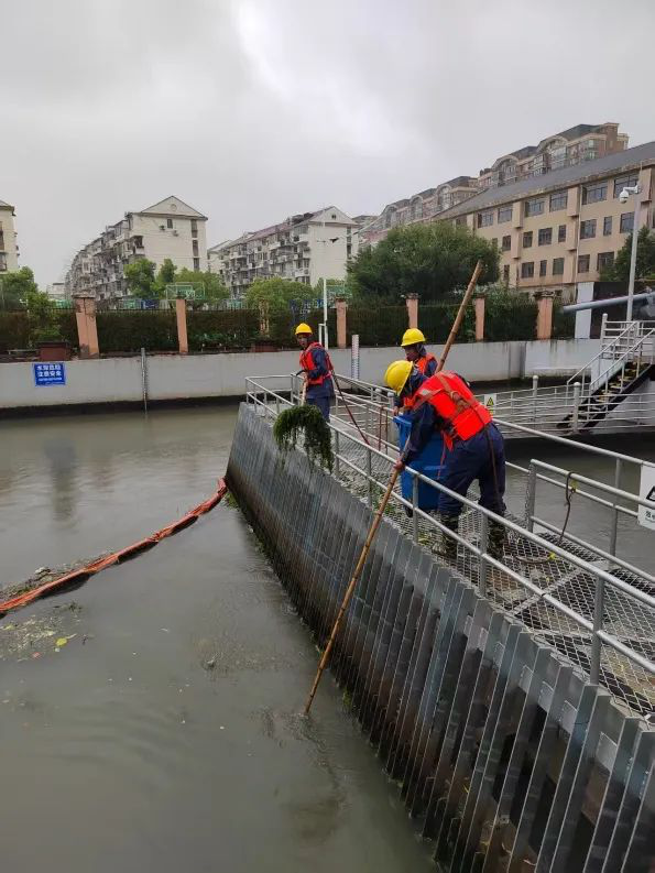 打捞水草.png