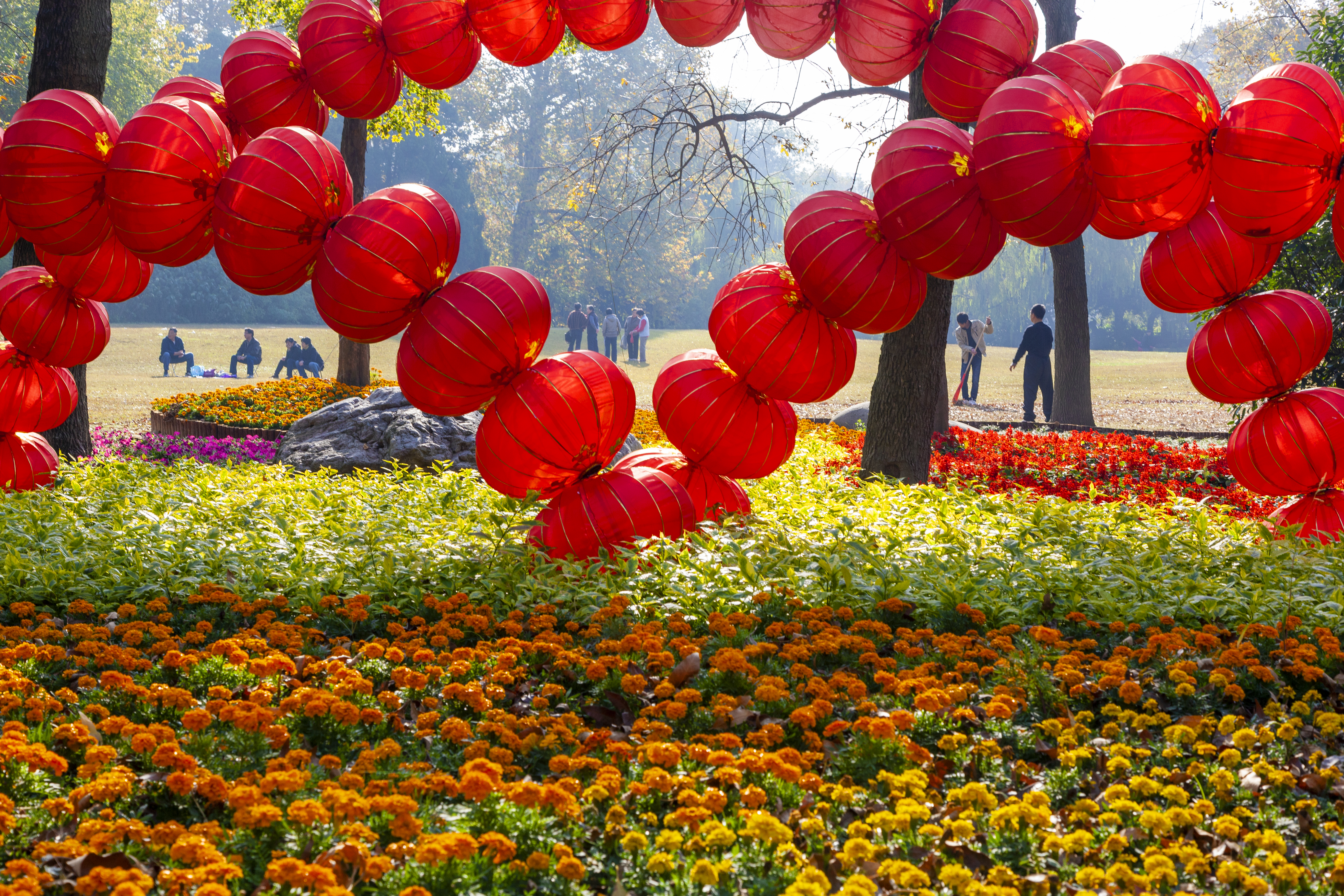 节日氛围 张洪德摄（定威居委）.jpg
