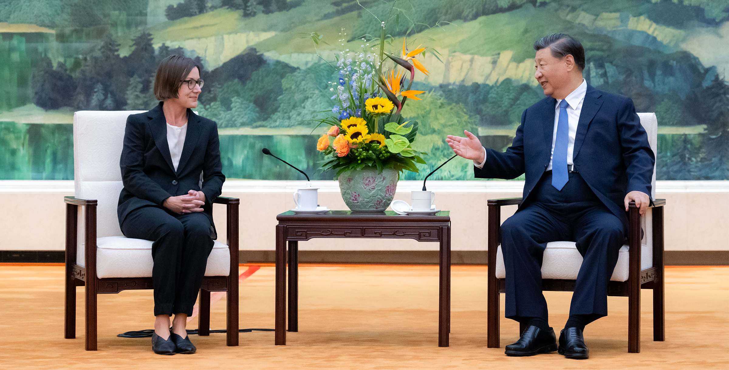 习近平会见红十字国际委员会主席斯波利亚里茨.jpg