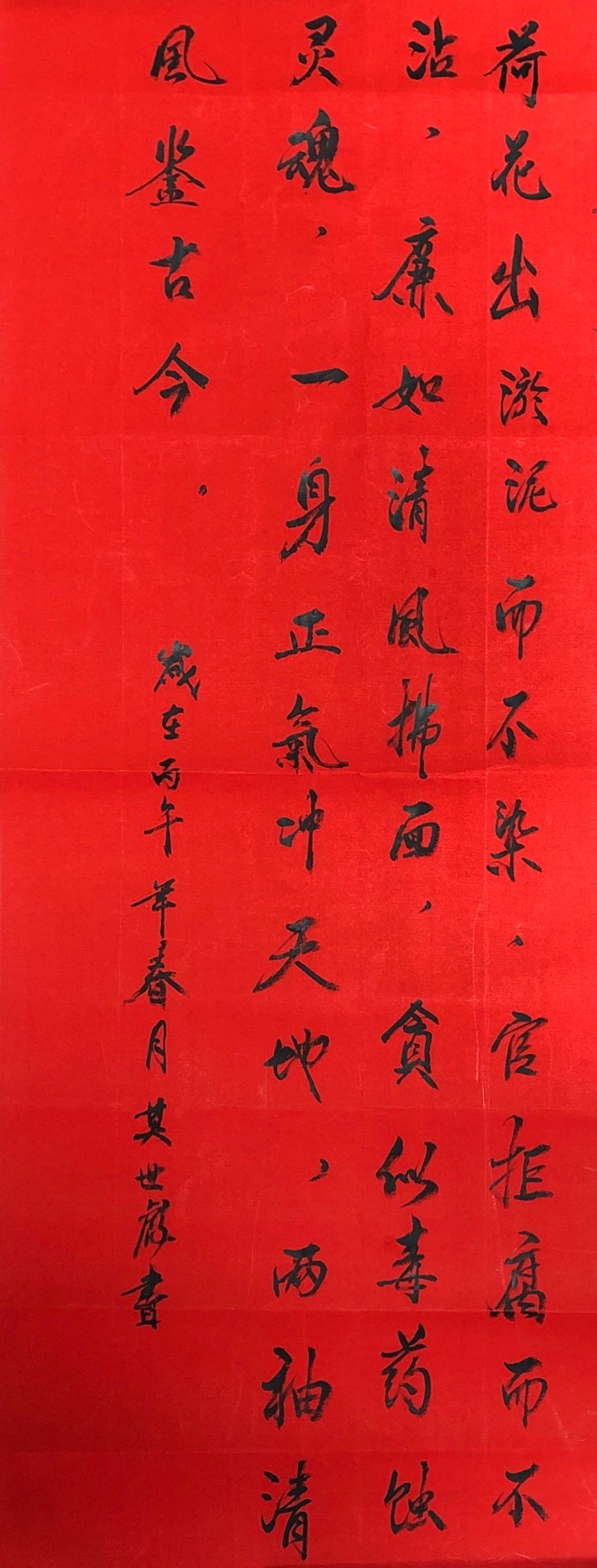 《荷花出淤泥而不染》新泾八村居民区莫世彪.JPG