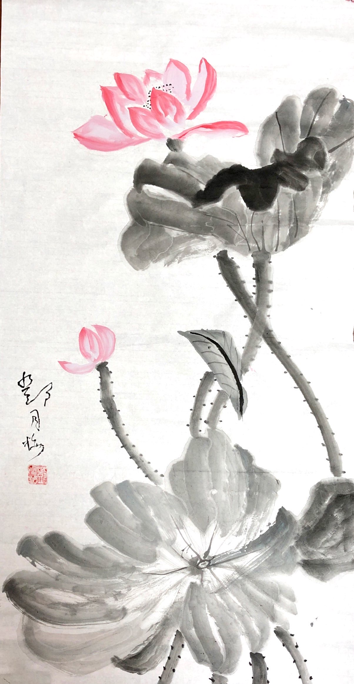 《莲花》新泾八村居民区邓月梅.JPG