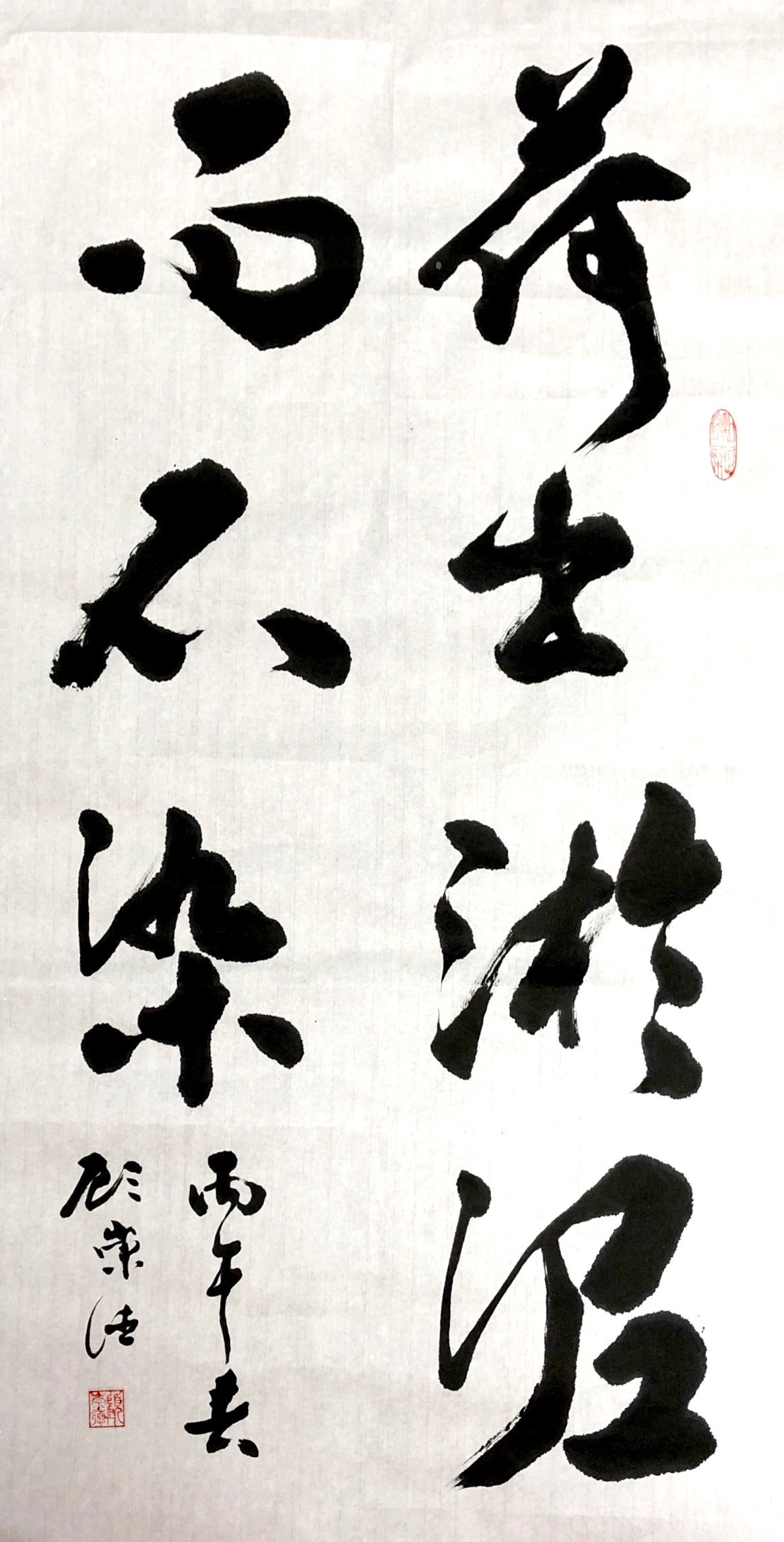 《荷出淤泥而不染》新泾八村居民区顾崇德.JPG