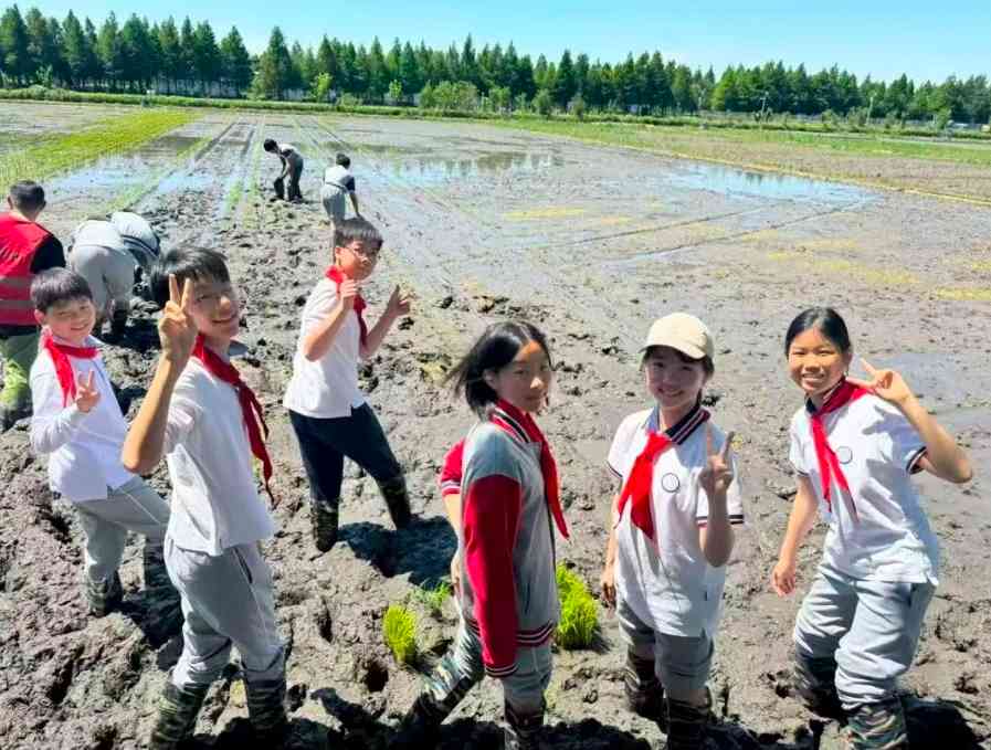 上海市延安实验初级中学-活动照片精选(2-3张jpg格式,大小2MB-10MB)-Screenshot_20260818_170736.jpg