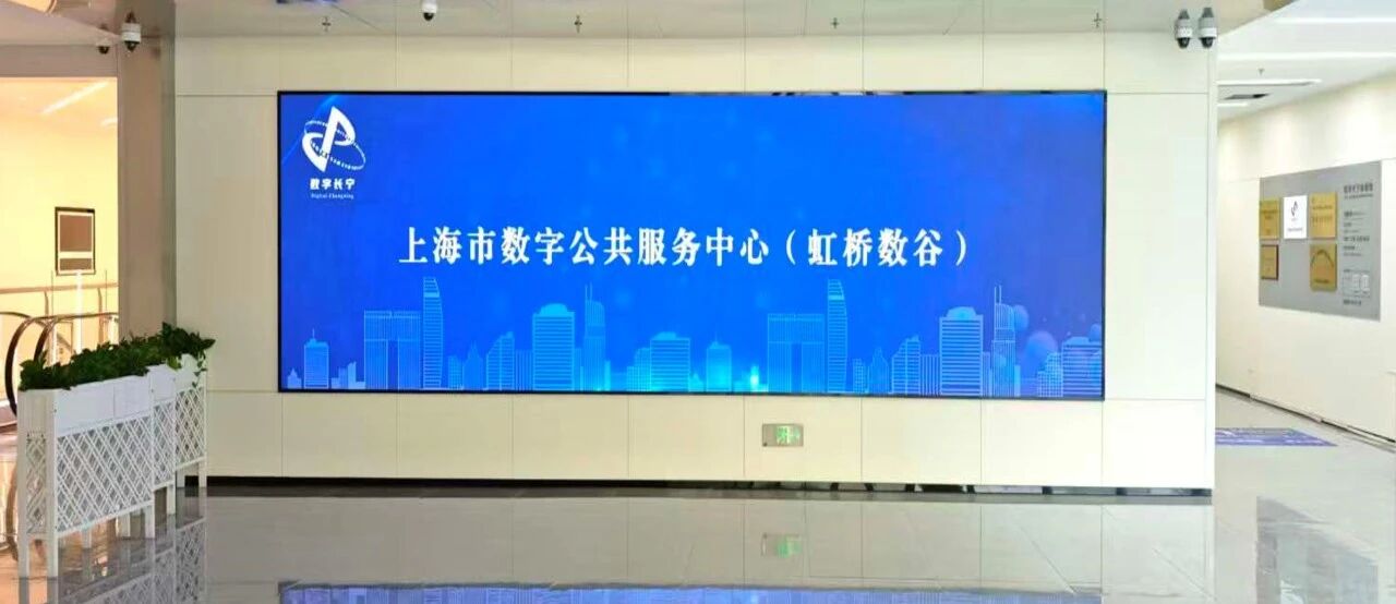 上海市数字公共服务中心(虹桥数谷)新增服务事项服务内容3.jpg